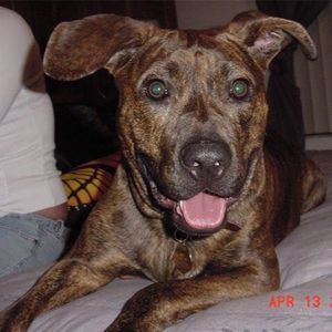 Meet your Posher, Robert